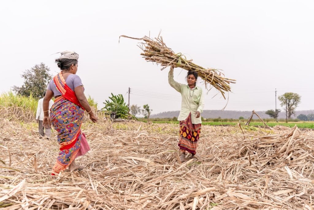 India’s HNI Women: Leading the Charge in Equity Investments & Risk-Taking – What It Means For You