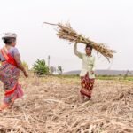 India’s HNI Women: Leading the Charge in Equity Investments & Risk-Taking – What It Means For You